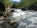 1.9km from Sorte - key rabbit on the stretch Norantola-Cama, 800x600, 108 Kb