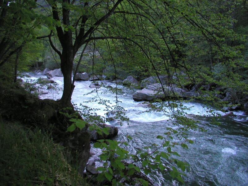1.2km from Sorte - View of the last rabbit in front of Norantola powerstation from the wild camping place, 800x600, 103 Kb